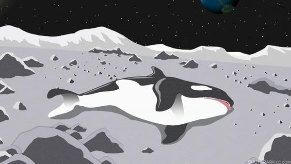 Moon Whales