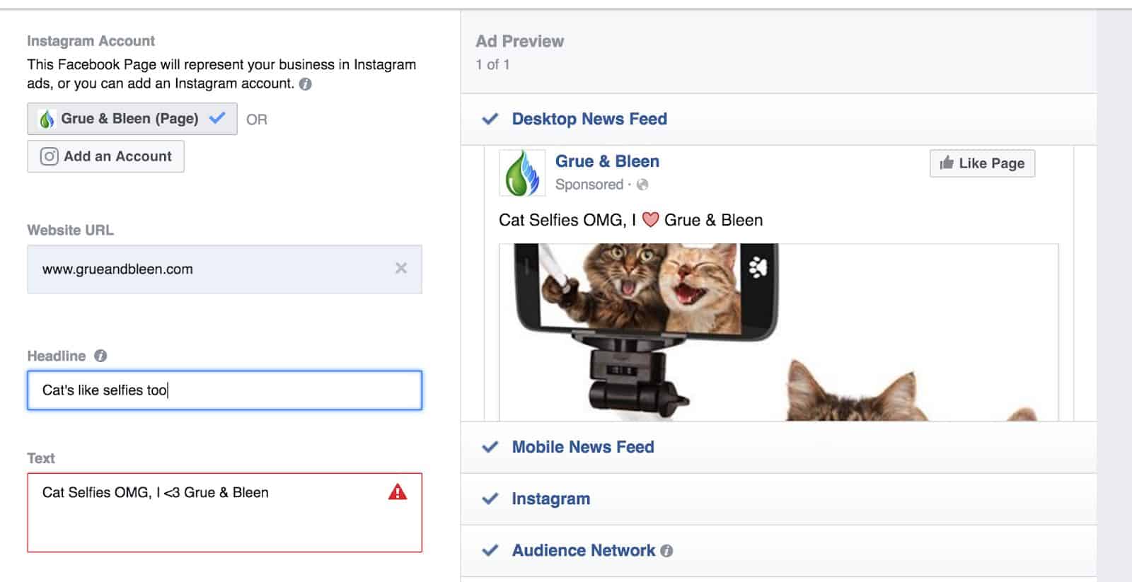 Create Your Facebook Ad Copy - Cat Selfies