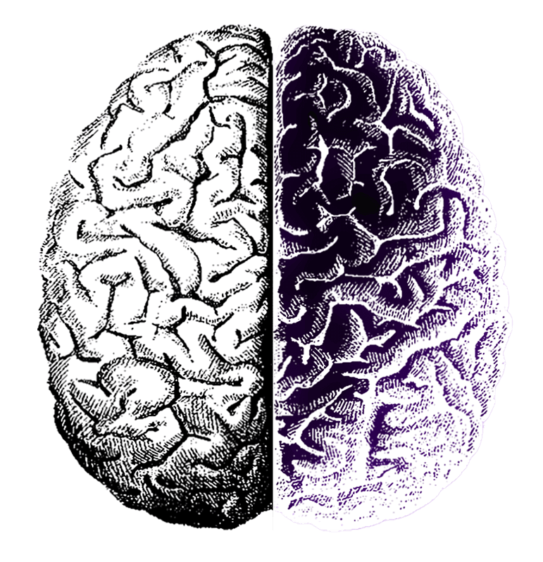 Home-Brain-full Home-Brain-full